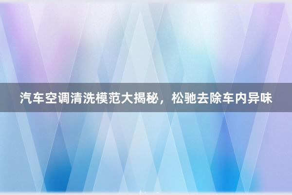 汽车空调清洗模范大揭秘，松驰去除车内异味